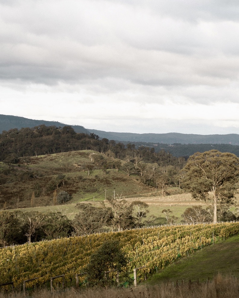 Kanimbla Valley vineyards