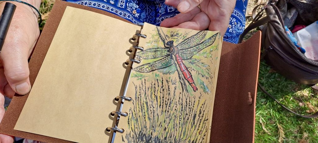Dragonfly by Caroline Giniunas