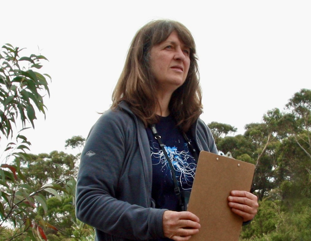 Carol Probets counting Regent Honeyeaters