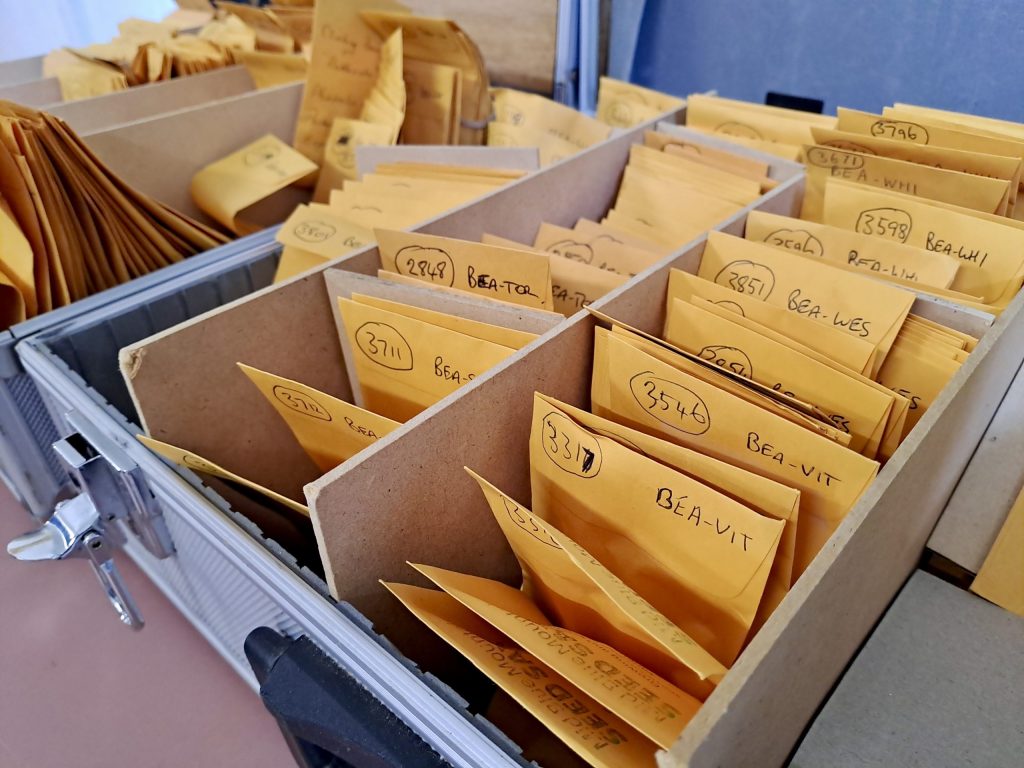 seedsavers seed bank