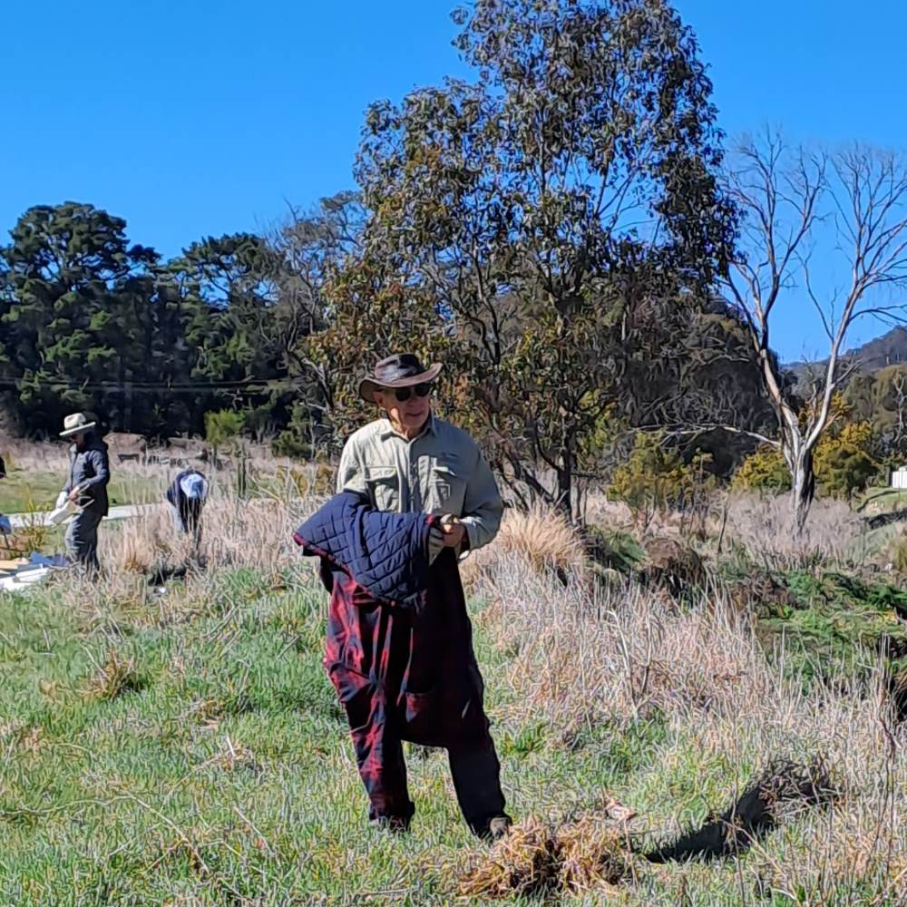 bushcare volunteer at farmers creek