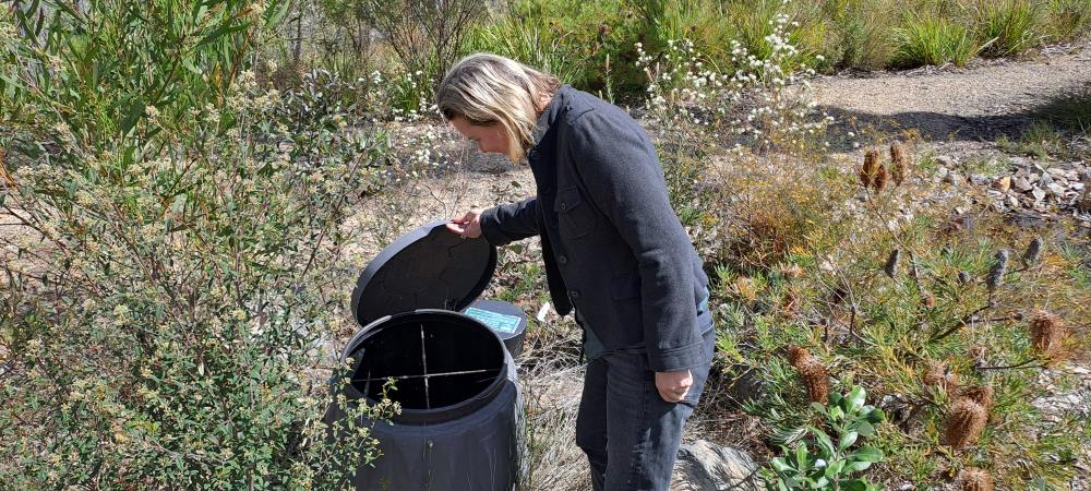 worm and microbe-driven septic system