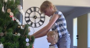 living christmas tree