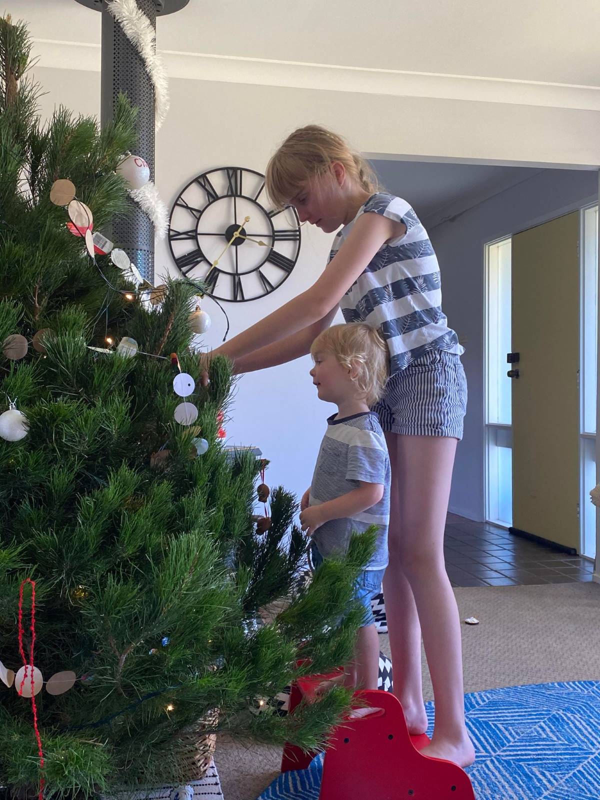 living christmas tree