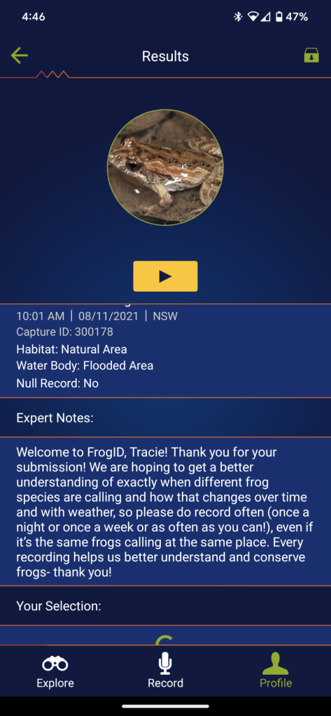 frog id results