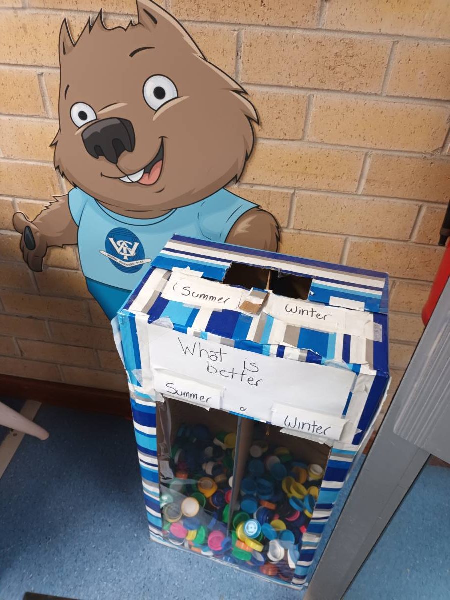 lids4kids collection in the blue mountains