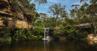 paradise pool