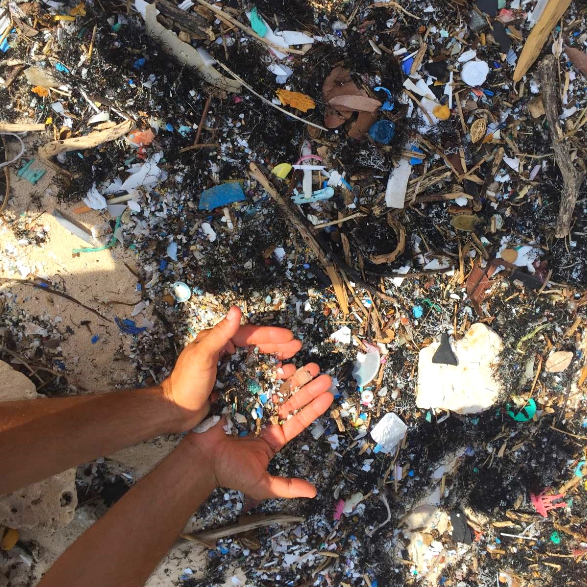 plastic pollution in the ocean
