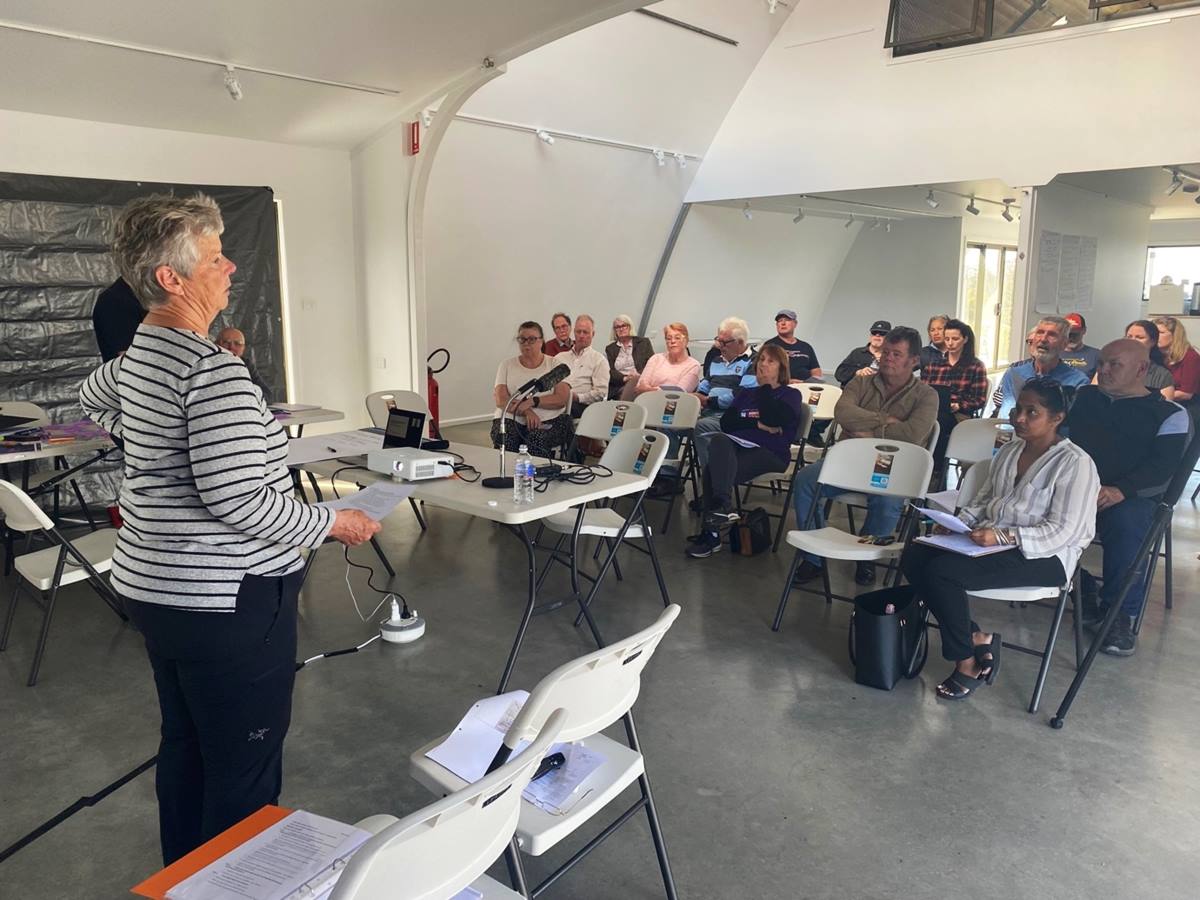 ABCD Inc Vice President, Dargan resident Karen Cody presenting at the Resilience Action Plan workshop