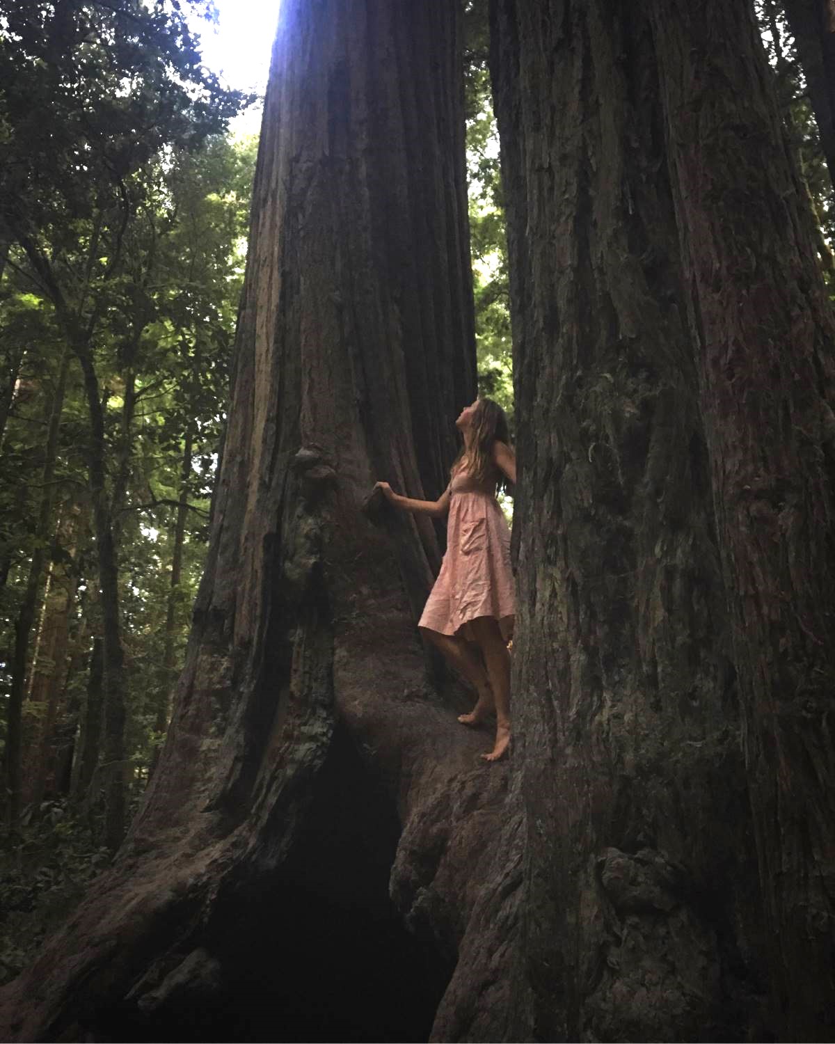 jessie burke in nature