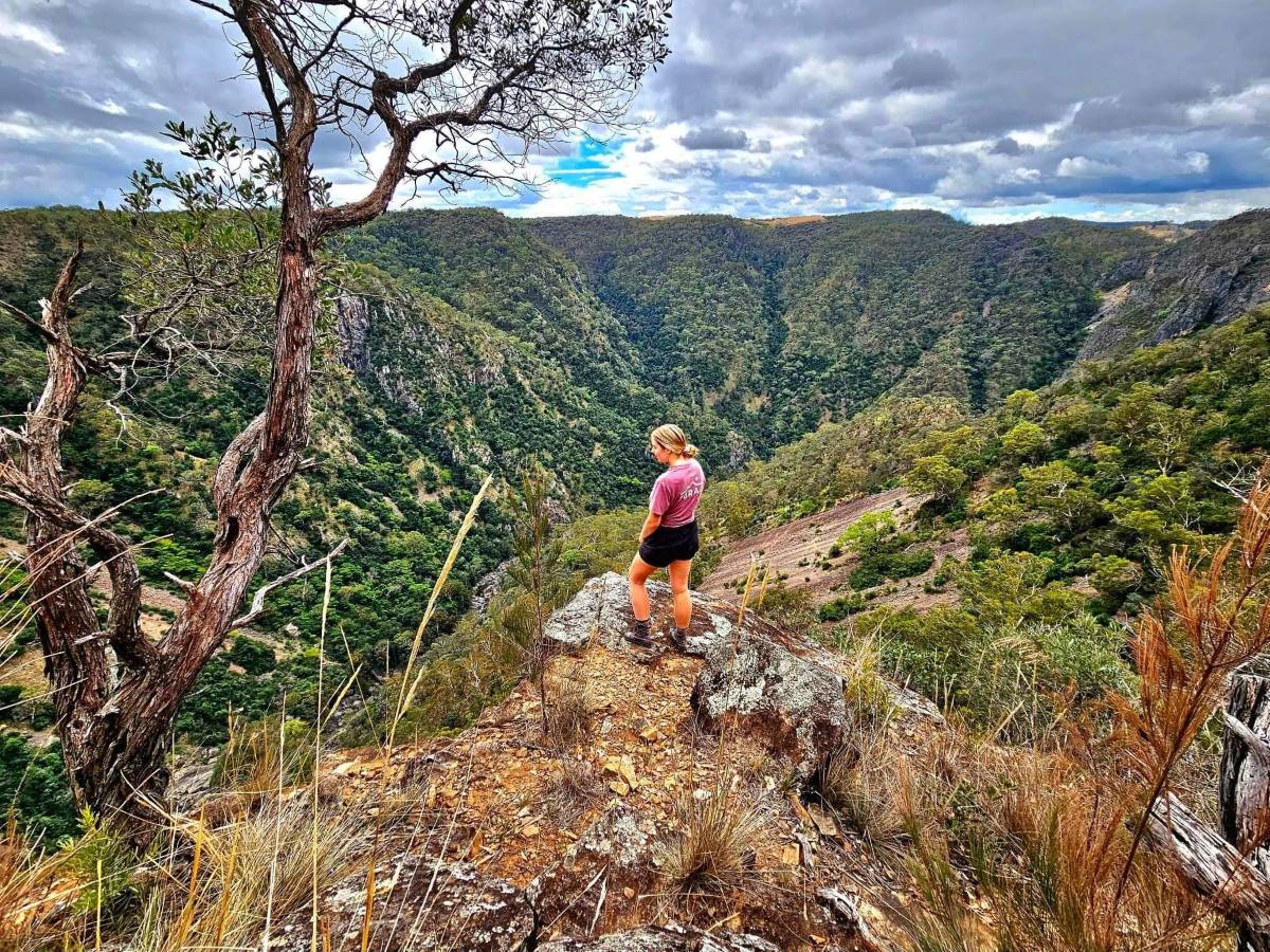 jessie burke in the blue mountains