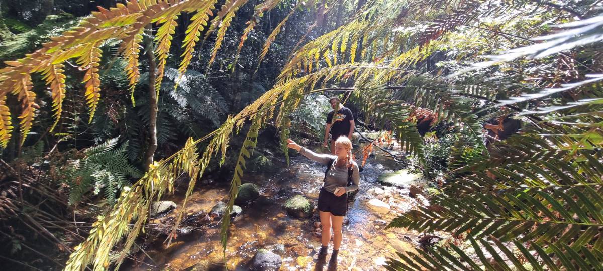 Jessie Burke bushwalking in Springwood