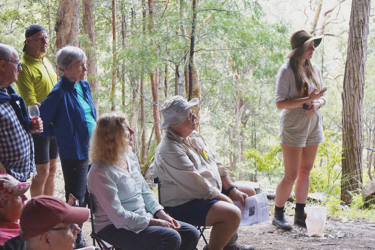 jessie burke president of springwood bushwalking club