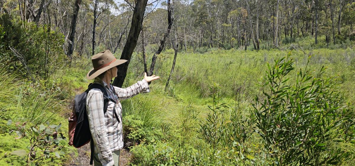 marianne bates in swamp