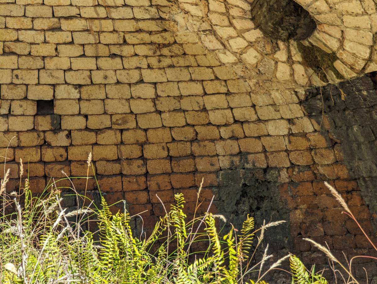 coke oven at newnes