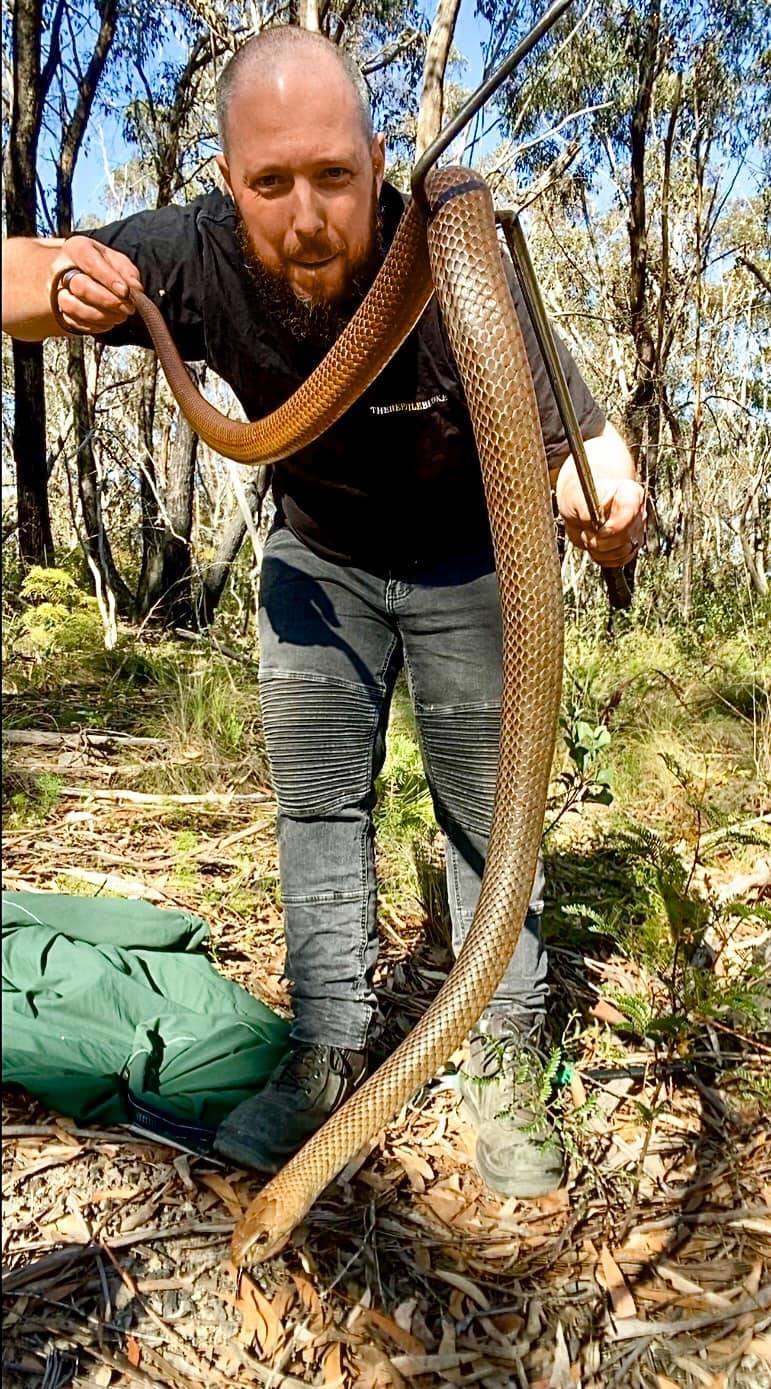 the reptile bloke