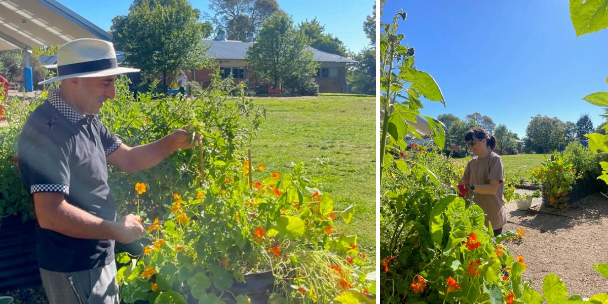 Family and Friends gardening on Thursday morning. Metin and Katherine.