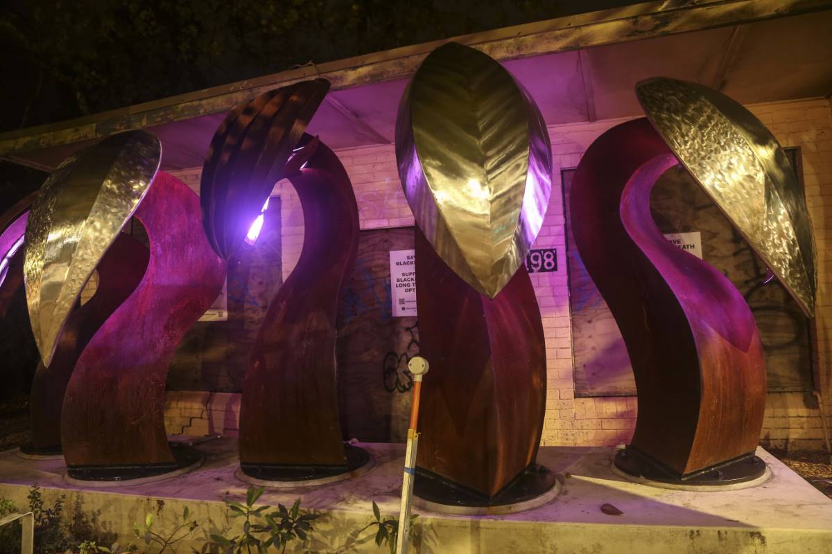 orchid sculpture at night