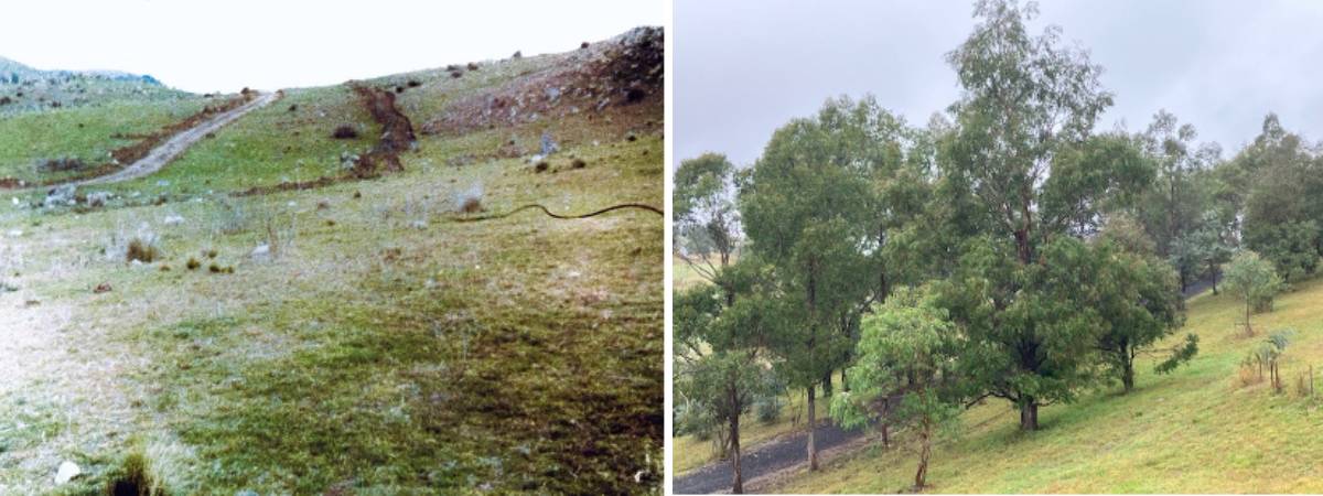 Middle earth in the kanimbla valley in 1980 and 2024