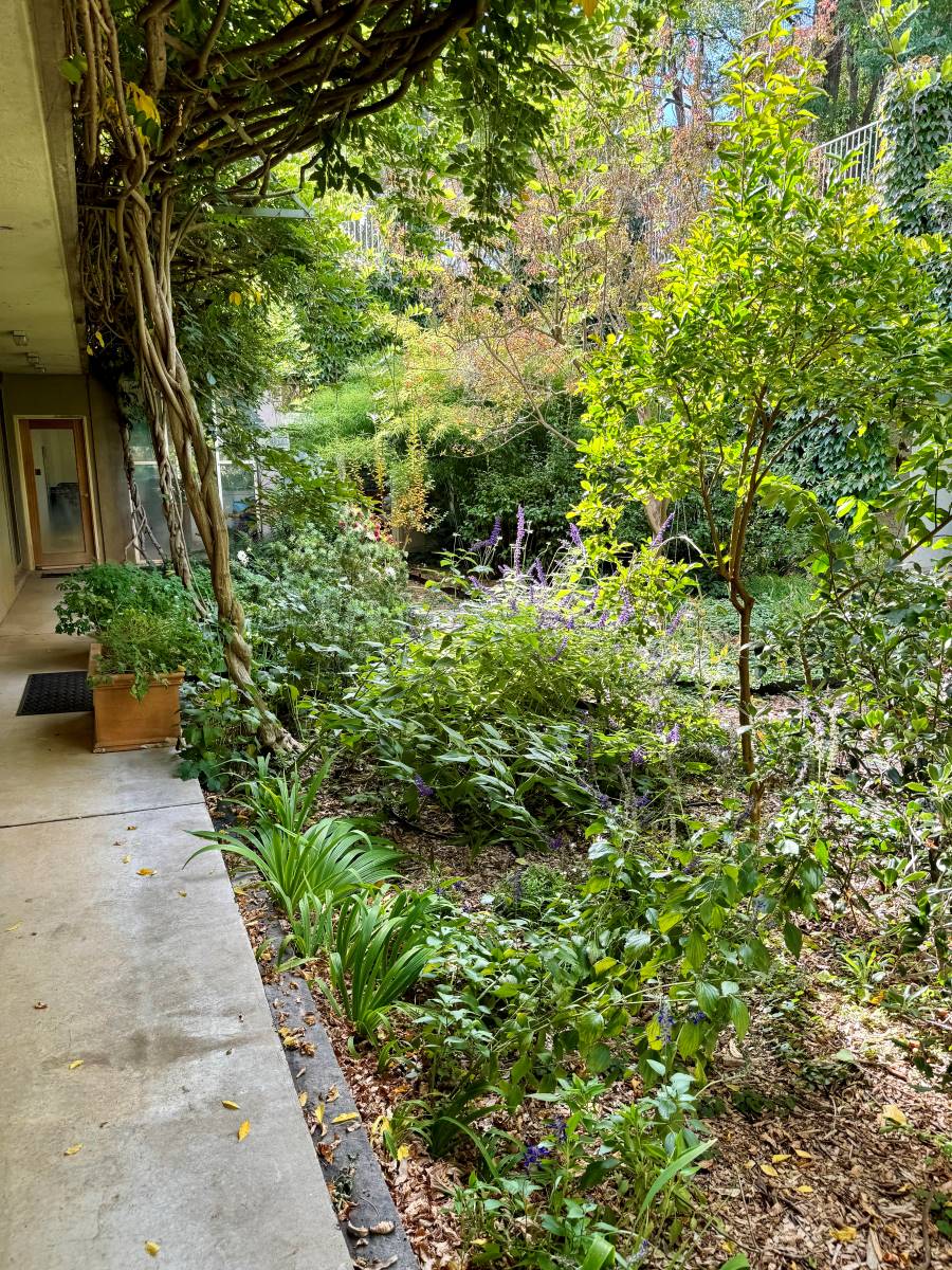 peristyle garden