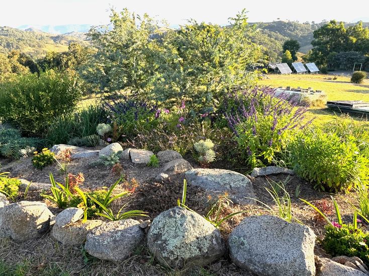 rock garden