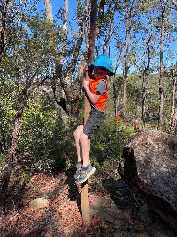 sliding down a tree in the bush