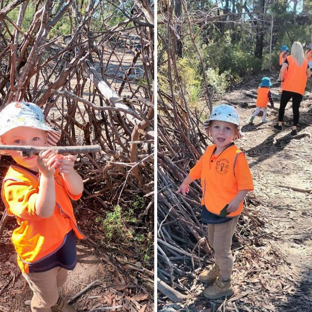 bush play at carinya