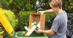 recycling blue mountains