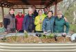 building a rain garden