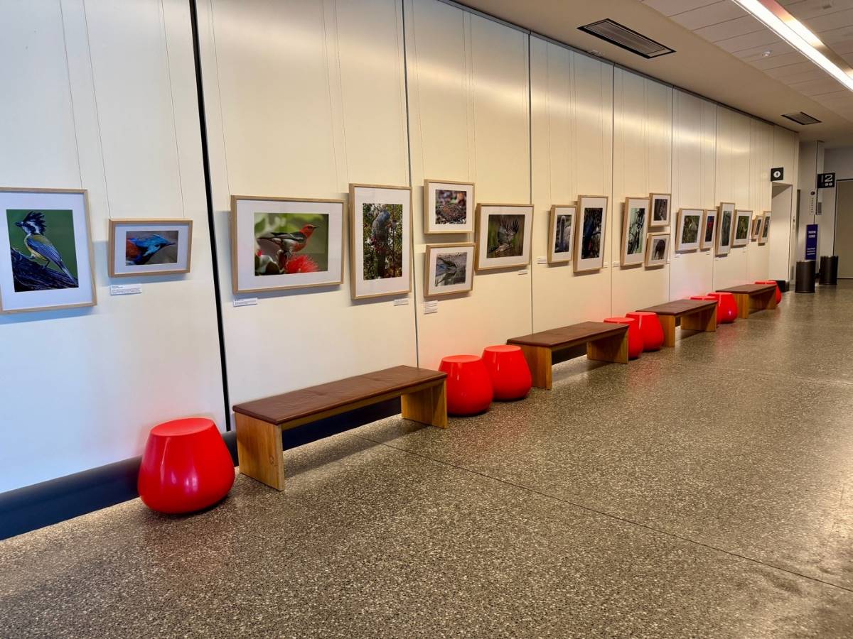 Planetary Health Centre’s World Animal Day exhibition of bird photographs