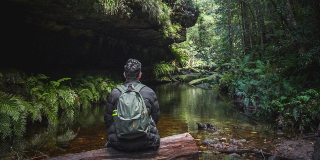 pondering planetary health in the blue mountains