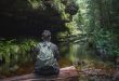 pondering planetary health in the blue mountains