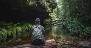 pondering planetary health in the blue mountains