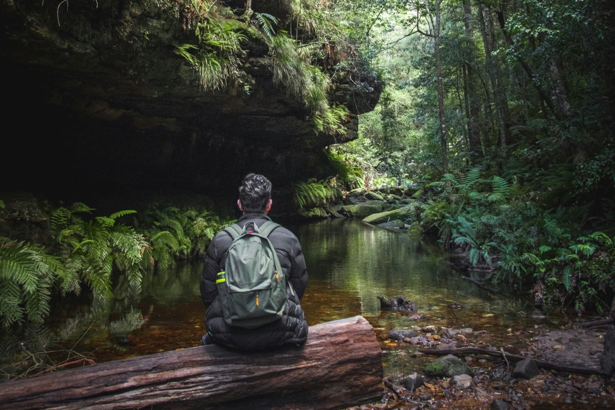 Pondering planetary health in the blue mountains