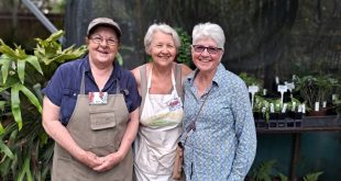 Glenbrook native plant nursery