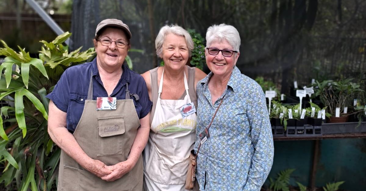 Glenbrook native plant nursery volunteers