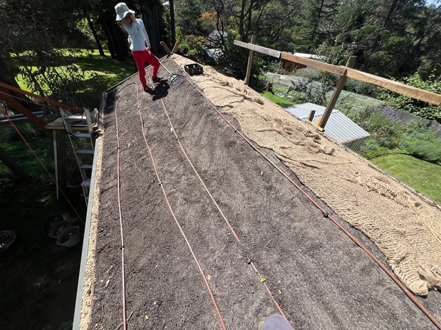 9. Drip irrigation lines were laid in place, then covered with open weave jute mesh to help hold the soil in place..
