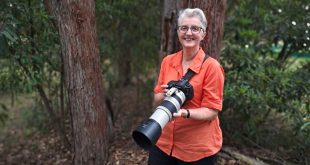 merryl watkins in the blue mountains
