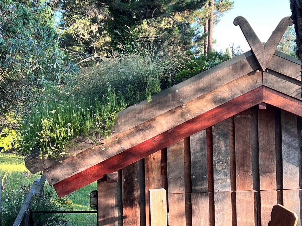 The green roof has 150mm of soil