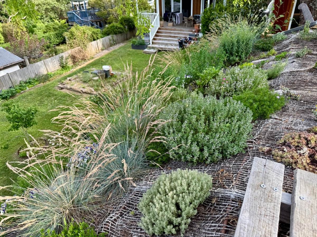 The irrigation of the roof garden increases cooling in Summer