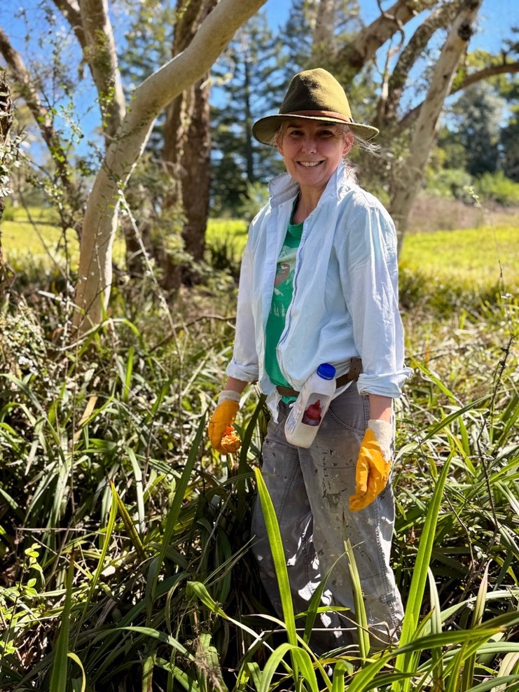 bushcare volunteer