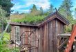 a green roof on a shed in Blackheath in the blue mountains