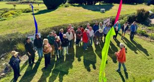 skillshare saturday in katoomba