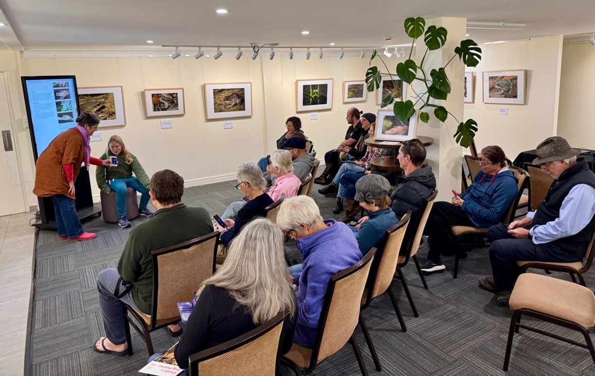 frog workshop