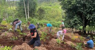 TREAT volunteers at work in habitat restoration