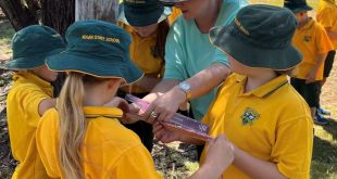 students doing citizen science